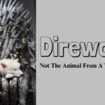 Direwolves: Not the animal from a TV show anymore 